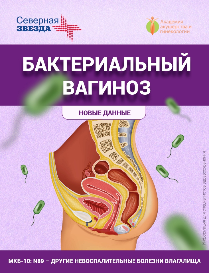 Строение женских половых органов